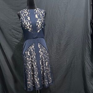 The Limited Navy and Cream Lace knee length Dress